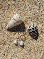 Cone Shell Earrings