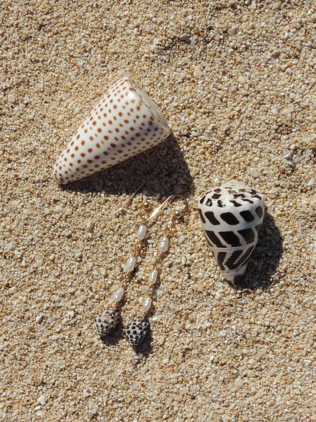 Drupe Shell Earrings