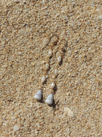 Cone Shell Earrings