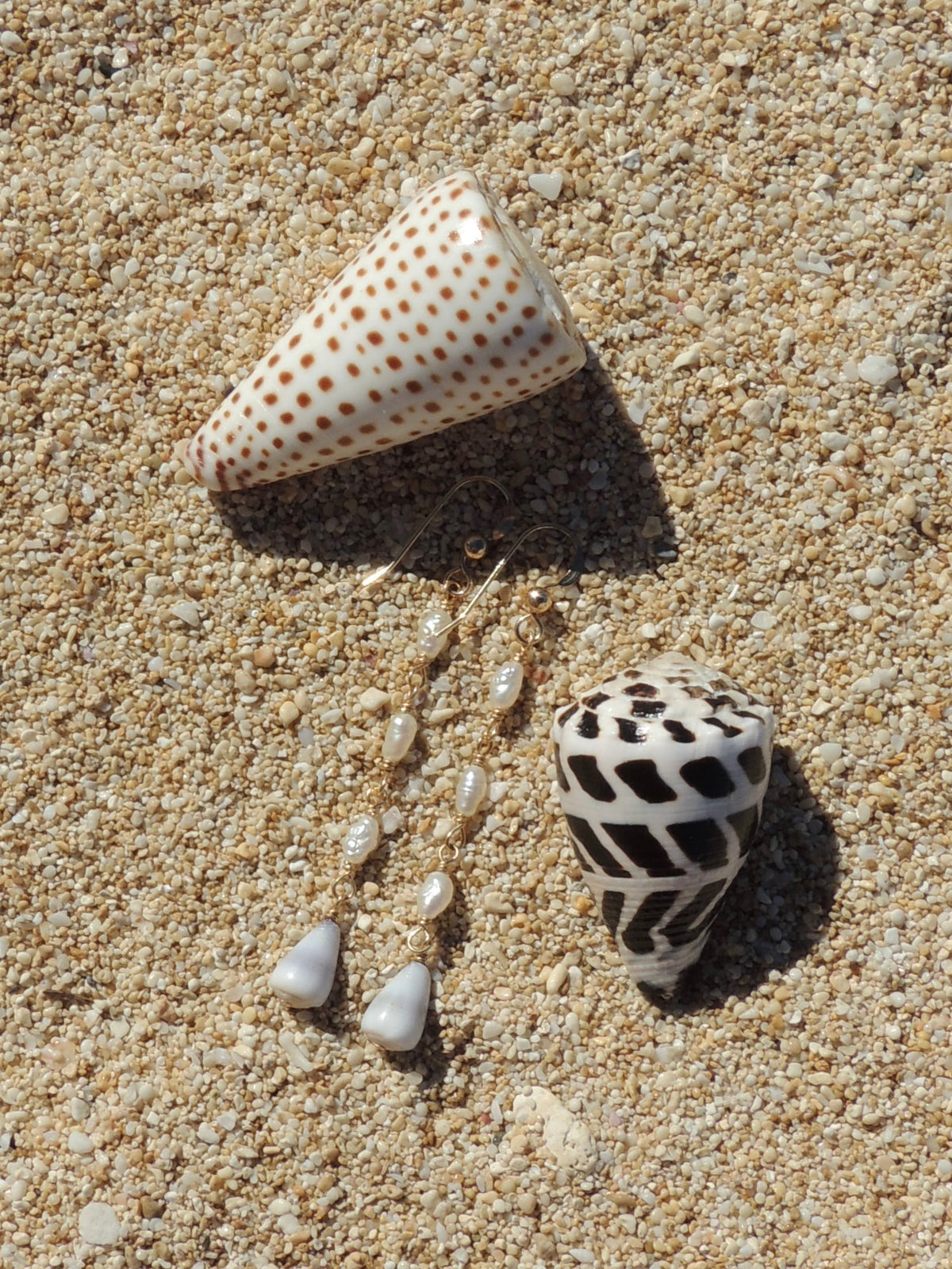 Cone Shell Earrings