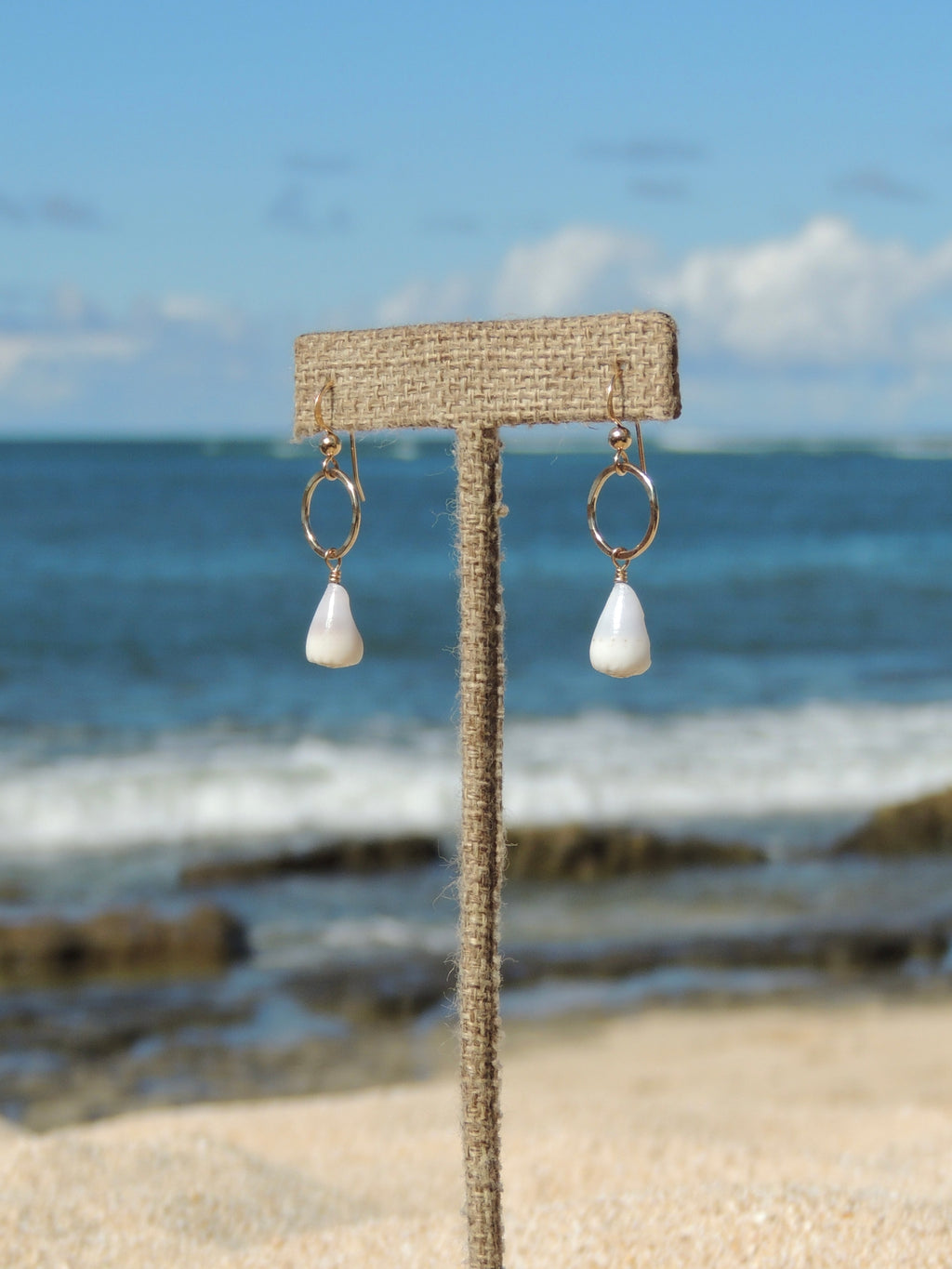 Cone Shell Earrings