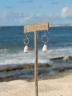 Cone Shell Earrings