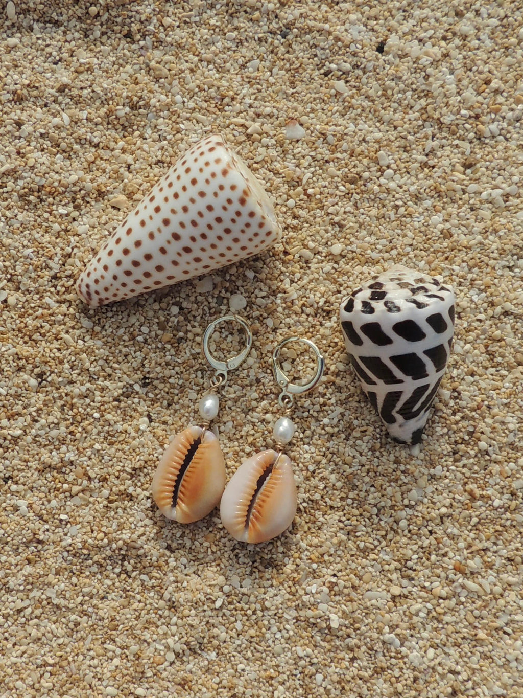 Honey Cowrie Shell Huggies