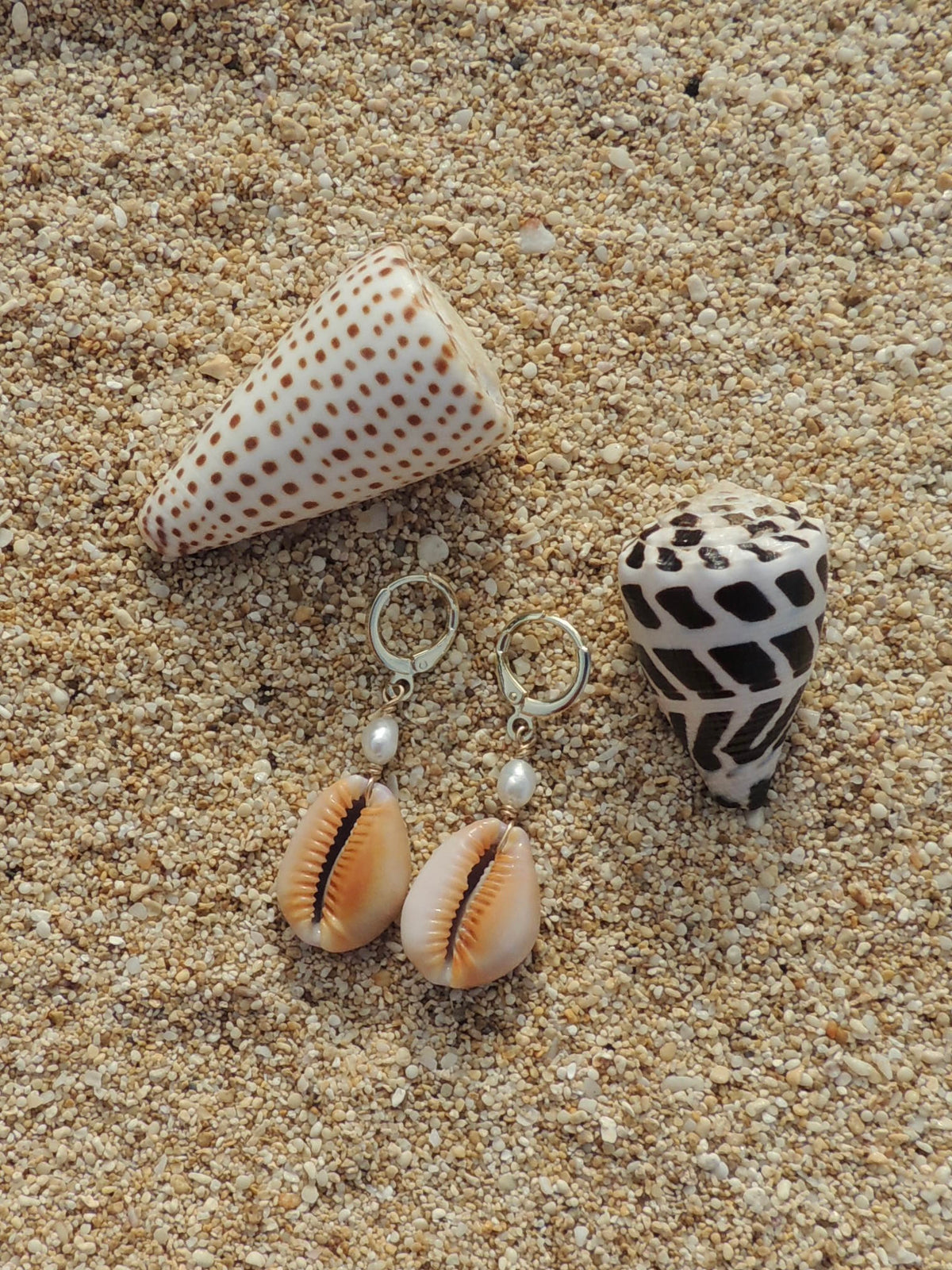 Honey Cowrie Shell Huggies