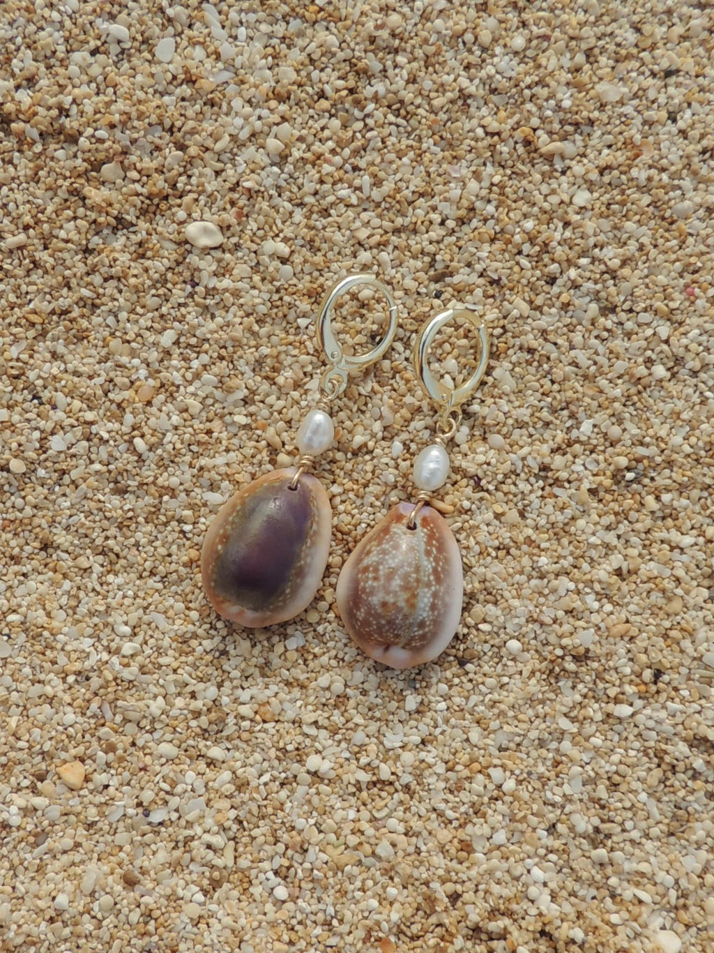 Honey Cowrie Shell Huggies