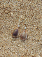 Honey Cowrie Shell Huggies