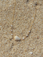 Cone Shell Choker Necklace