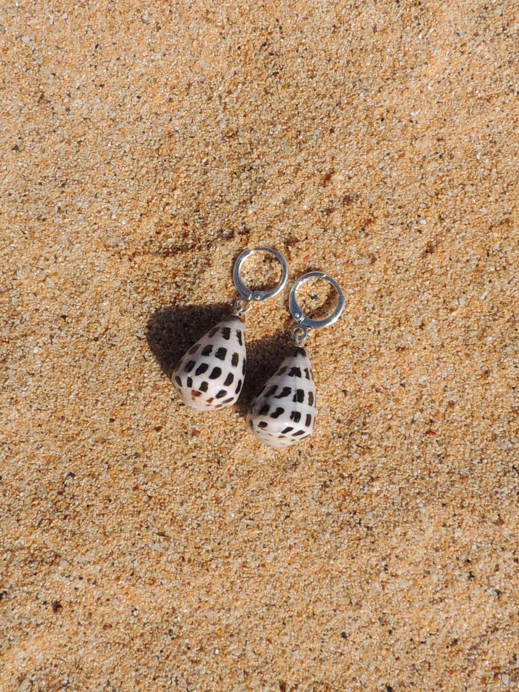 Hebrew Cone Shell Huggies