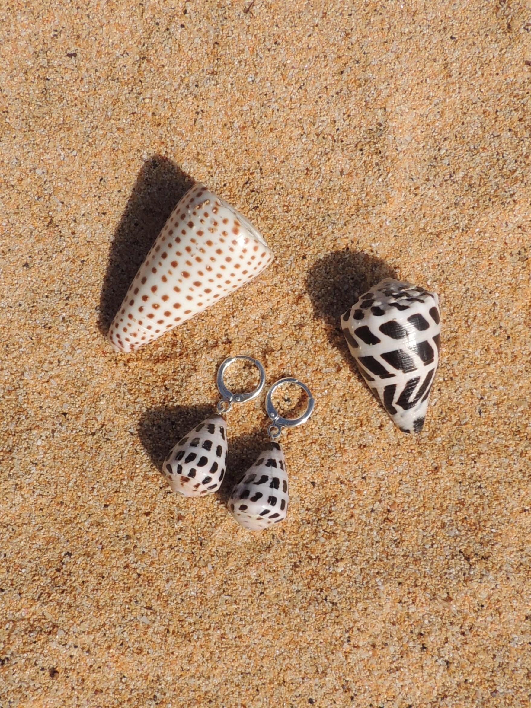 Hebrew Cone Shell Huggies