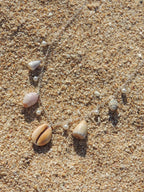Shell Charm Necklace