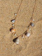 Shell Charm Necklace