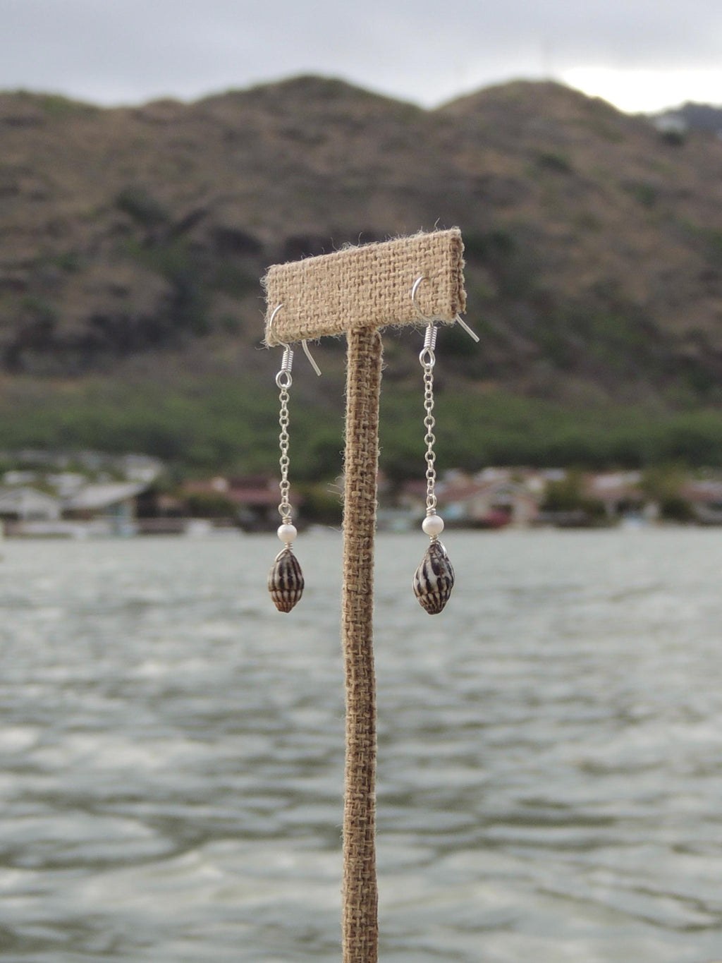Shell Chain Earrings