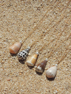 Cone Shell Necklace