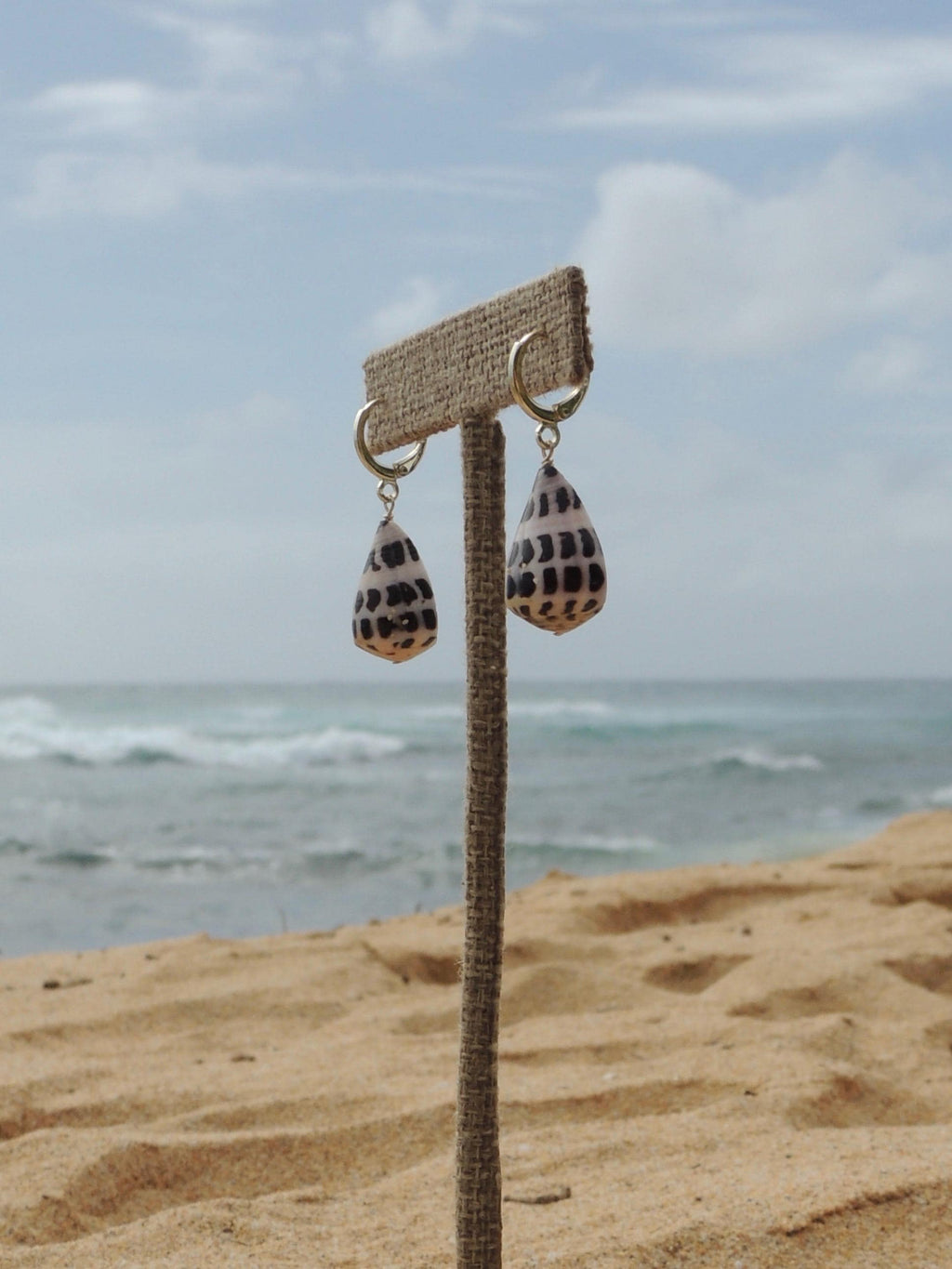 Hebrew Cone Shell Huggies