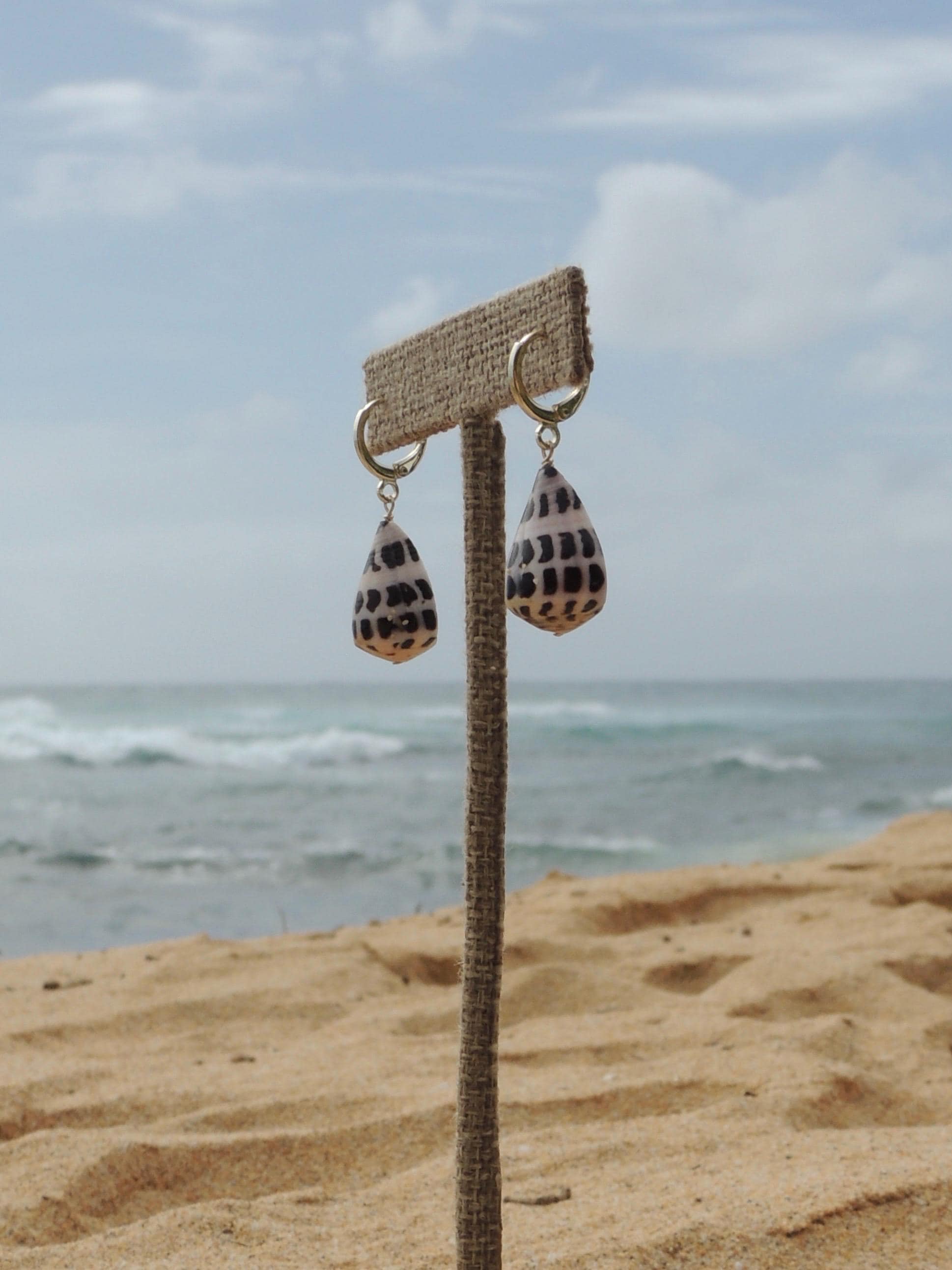 Hebrew Cone Shell Huggies