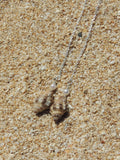 Triton Shell Threaders