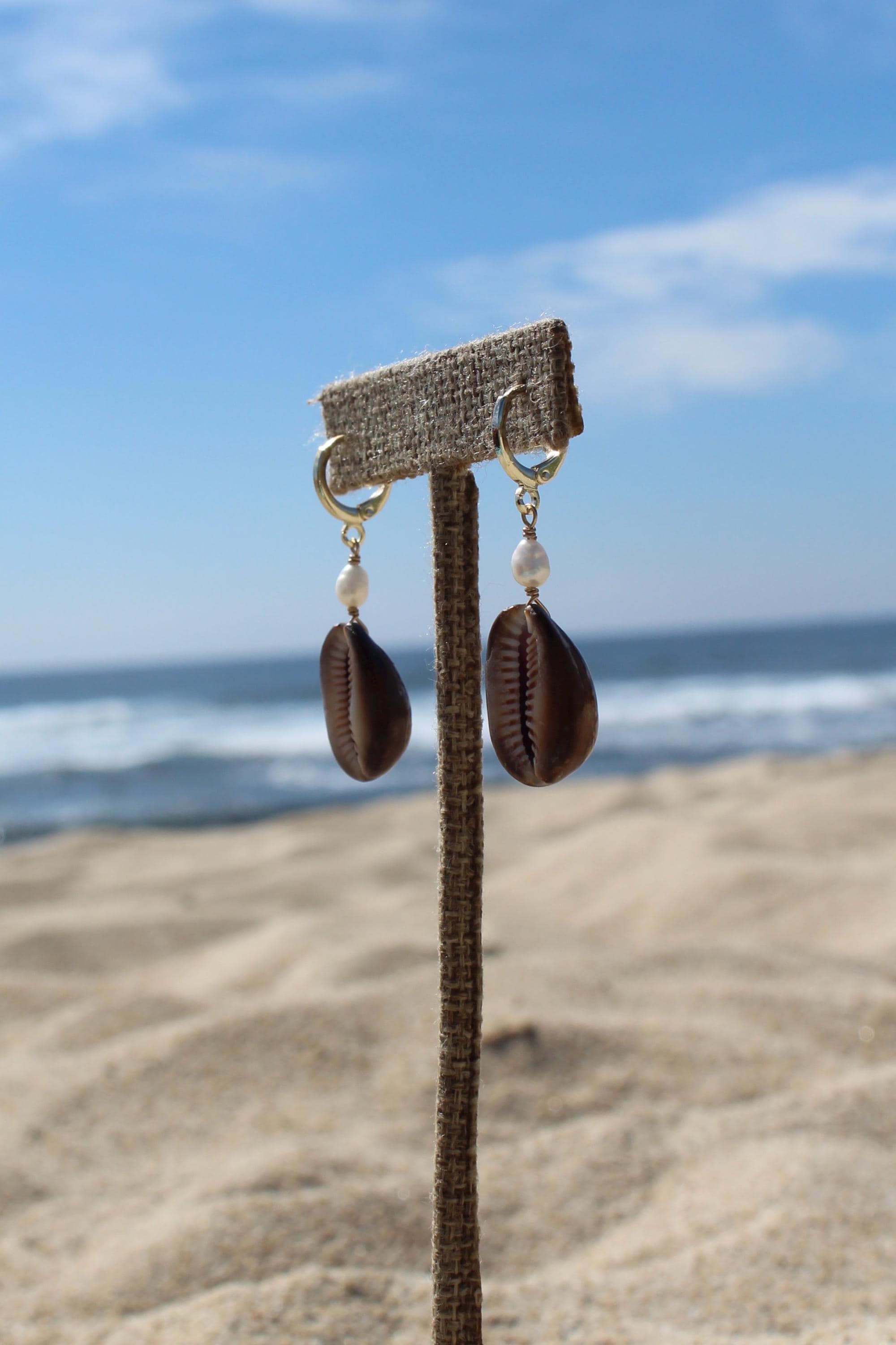 Brown Cowrie Shell Huggies