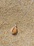 Honey Cowrie Shell Necklace