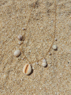Shell Charm Necklace