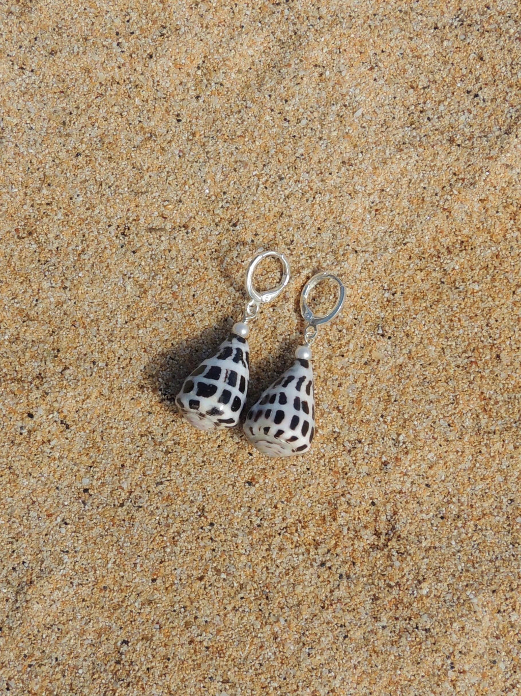 Hebrew Cone Shell Huggies
