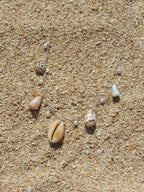Shell Charm Necklace