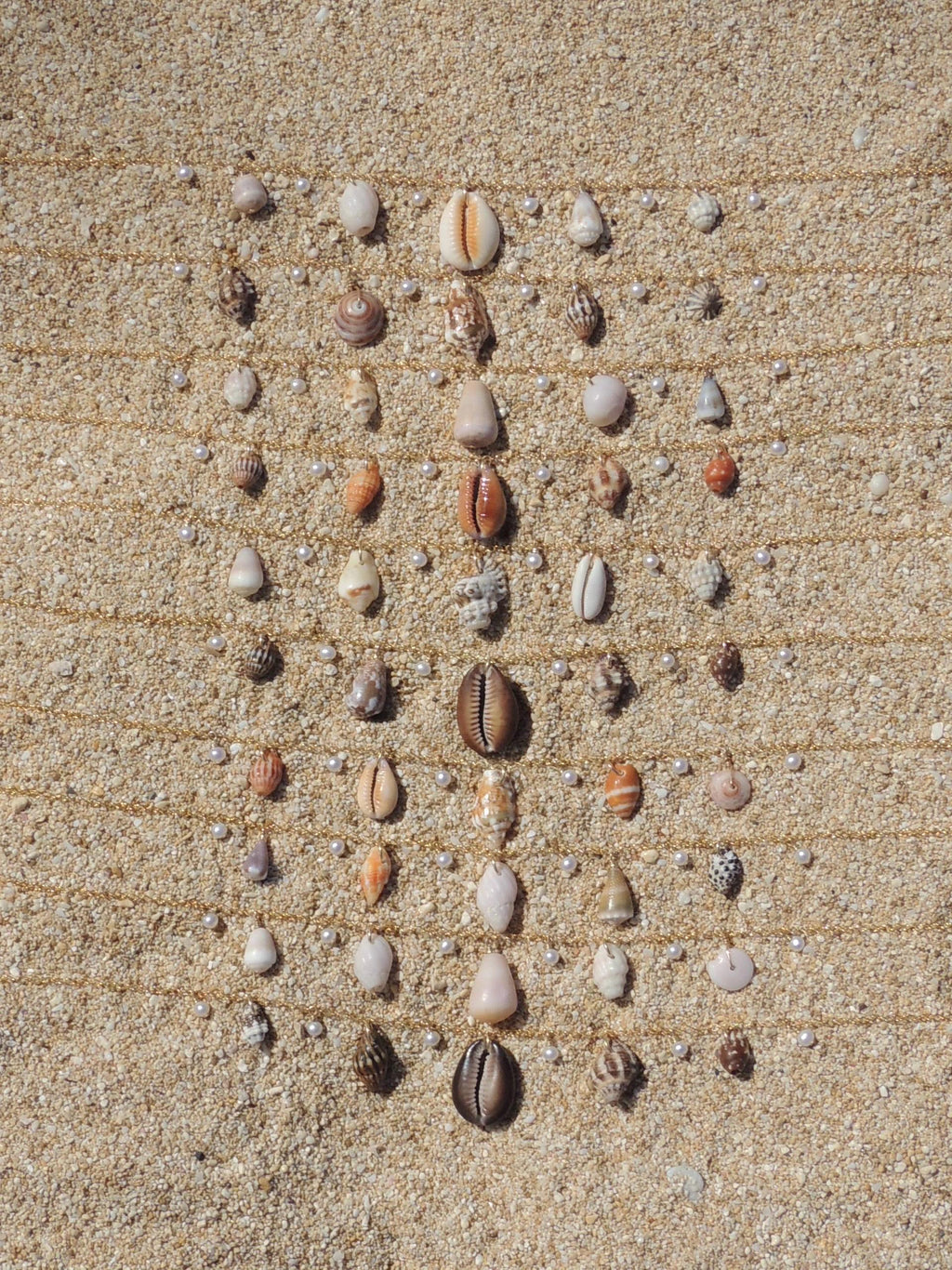 Shell Charm Necklace