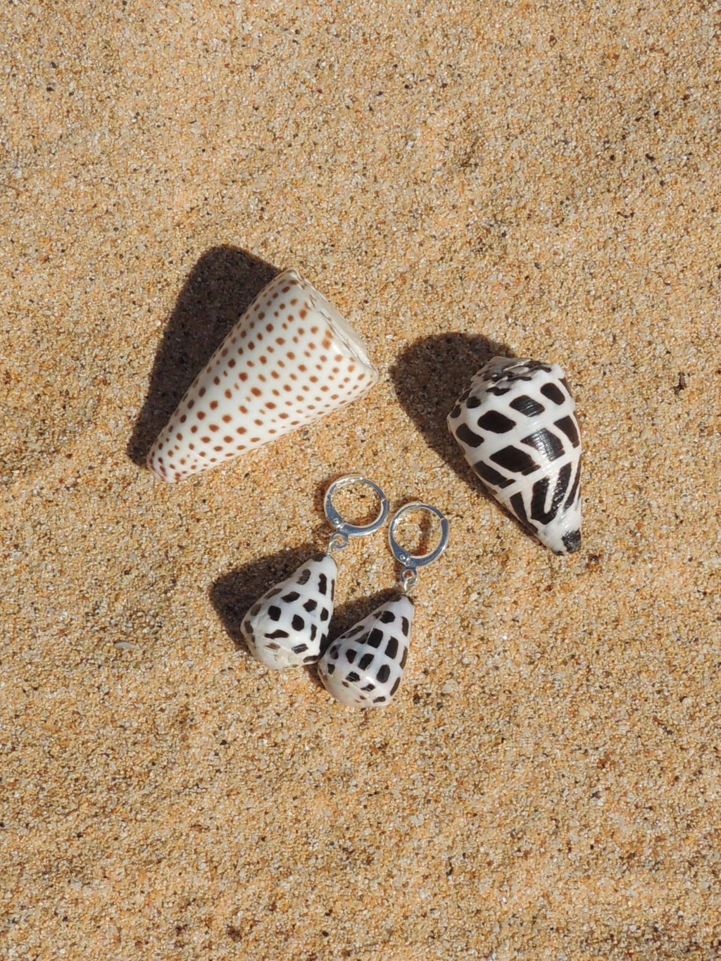Hebrew Cone Shell Huggies