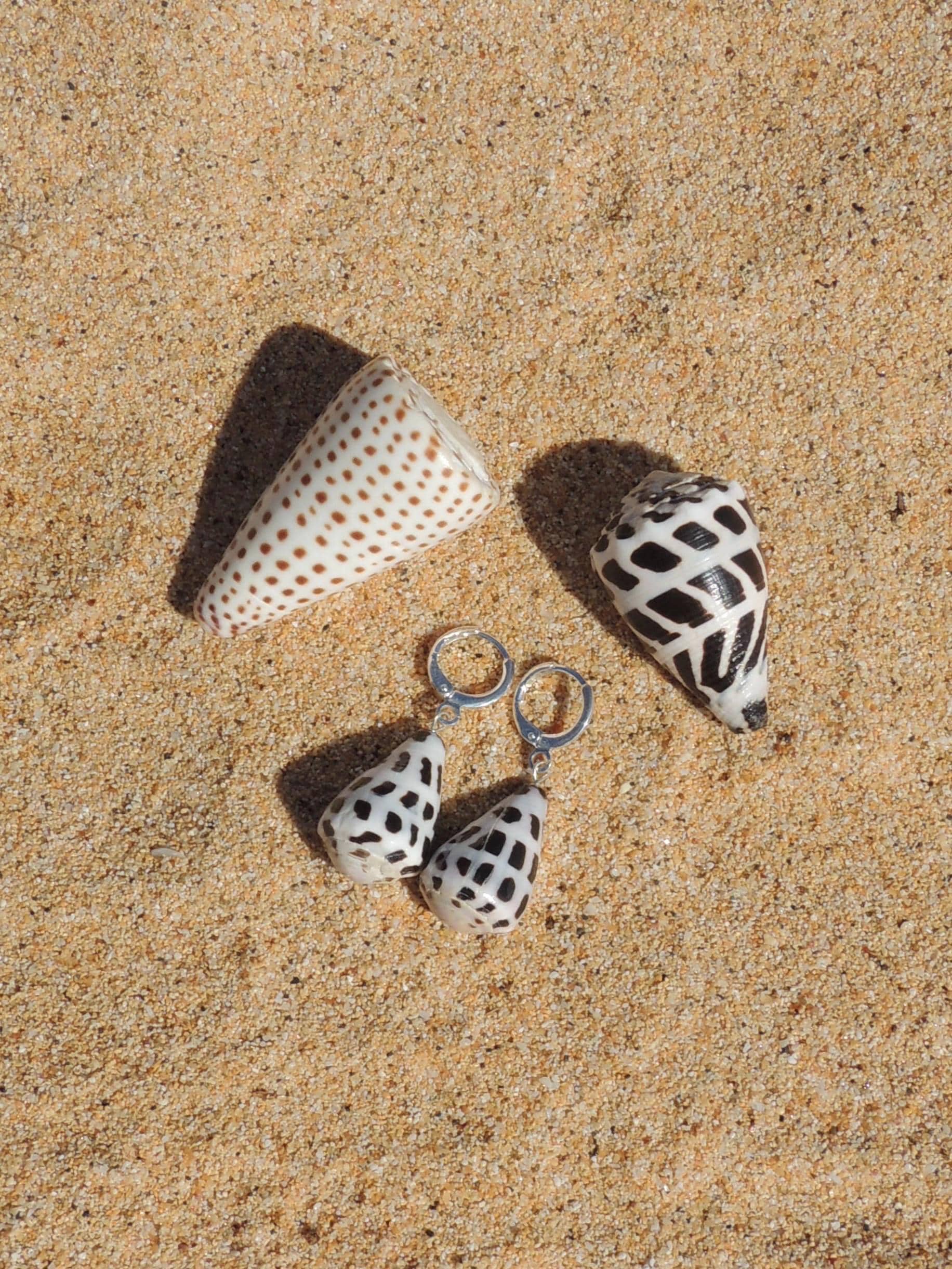 Hebrew Cone Shell Huggies