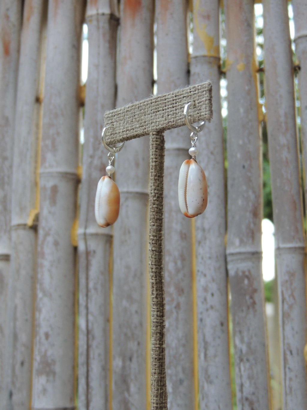 Isabella Cowrie Shell Huggies