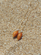 Orange Shell Threaders