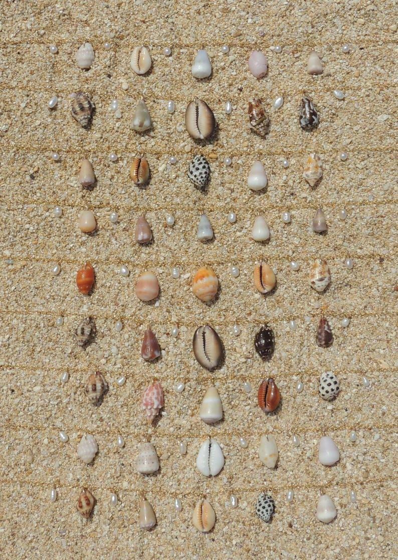 Shell Charm Necklace