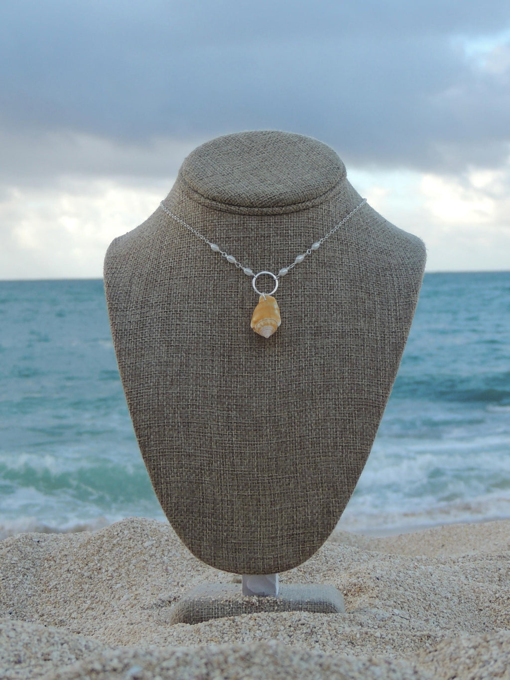 Stromb Shell Necklace