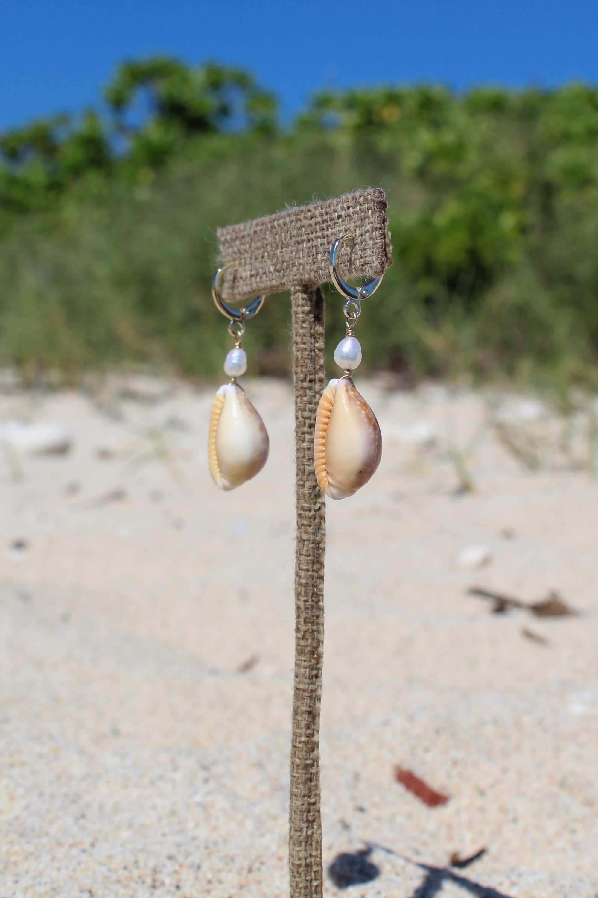 Honey Cowrie Shell Huggies