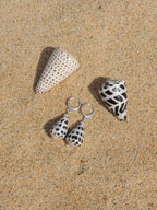 Hebrew Cone Shell Huggies