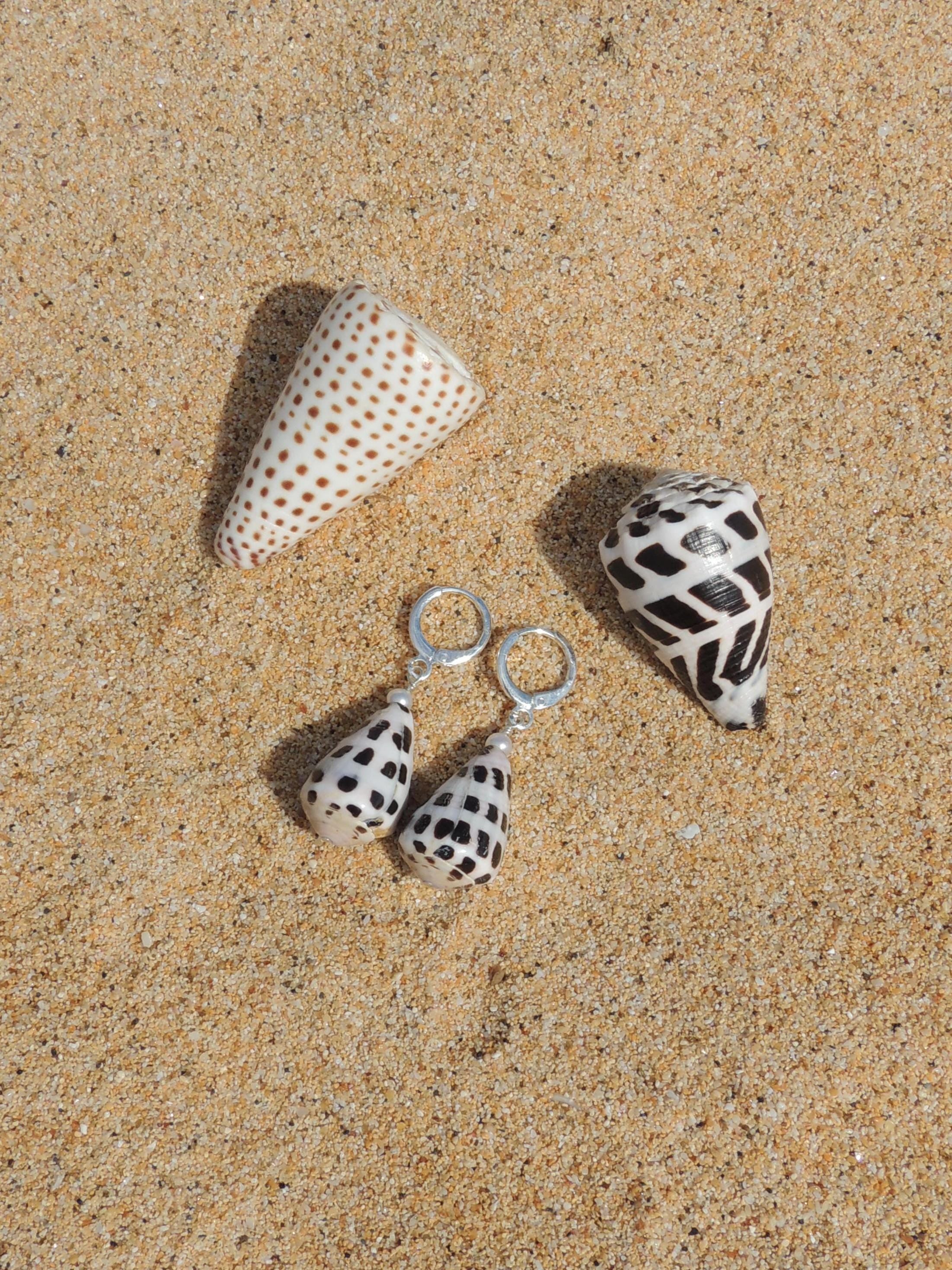 Hebrew Cone Shell Huggies
