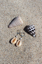 Honey Cowrie Shell Huggies