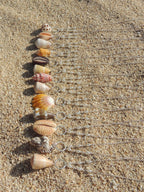 Cone Shell Necklace
