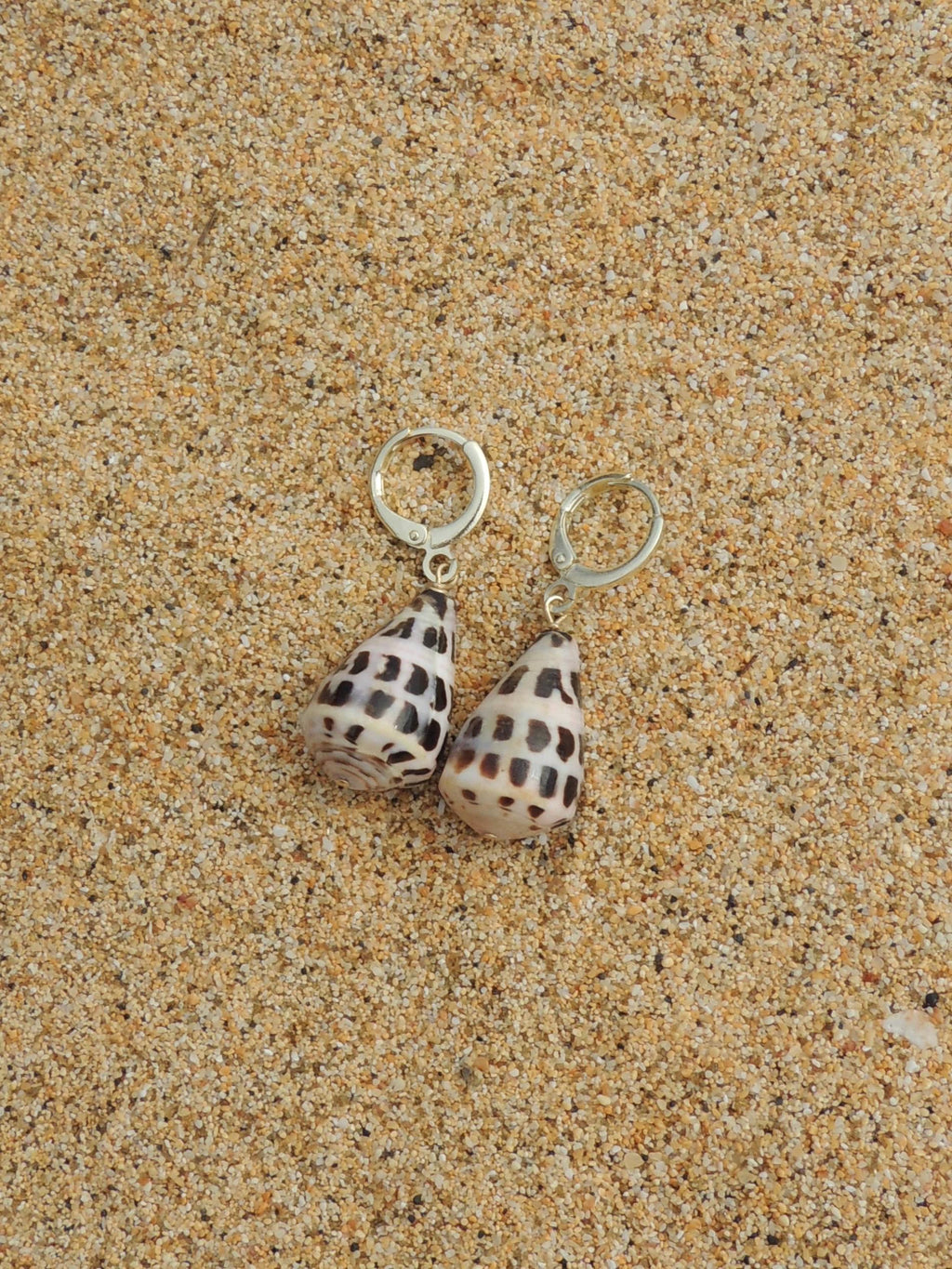 Hebrew Cone Shell Huggies