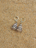 Hebrew Cone Shell Huggies