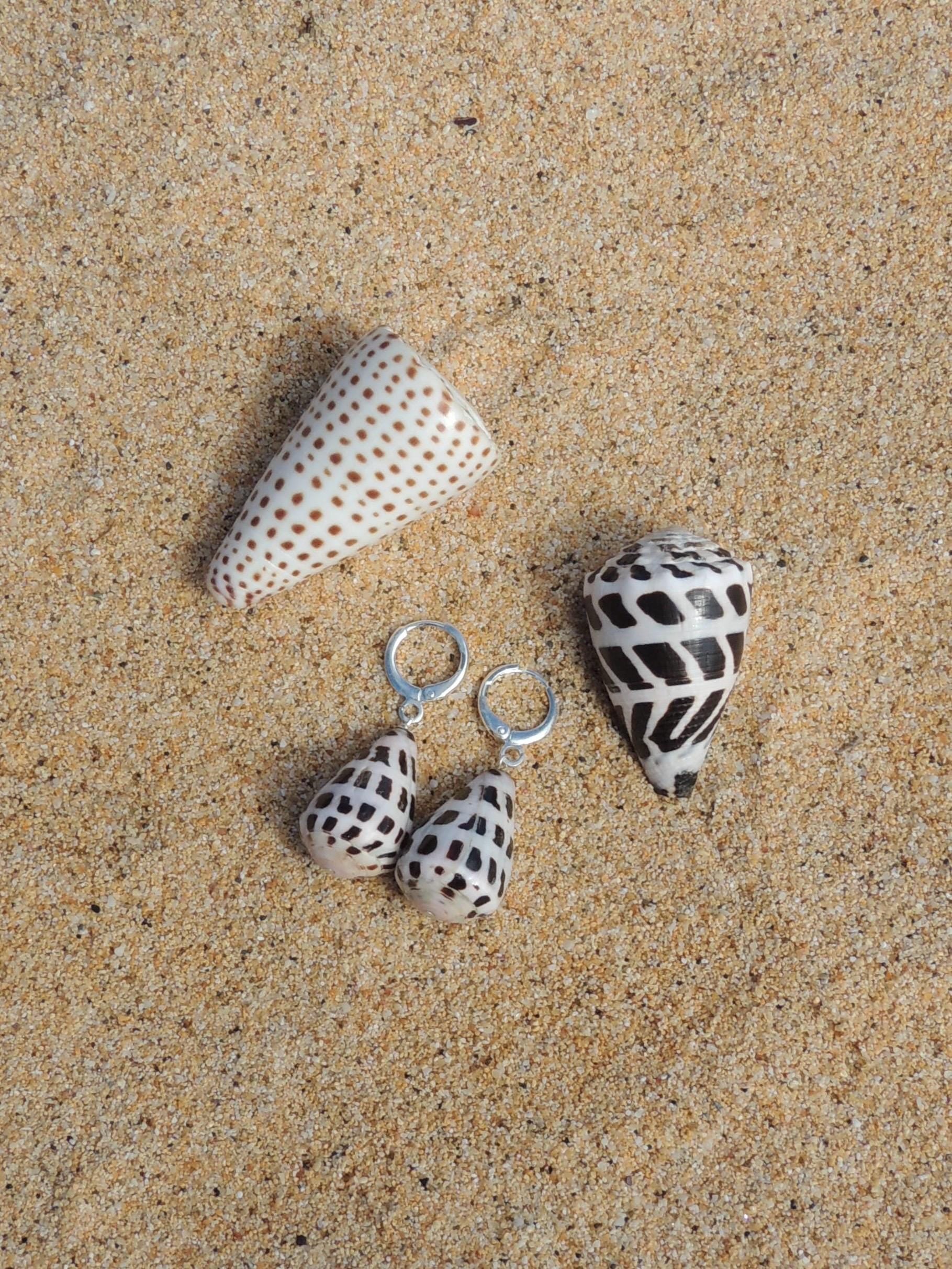Hebrew Cone Shell Huggies