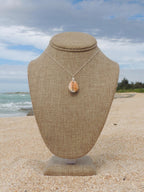 Honey Cowrie Shell Necklace