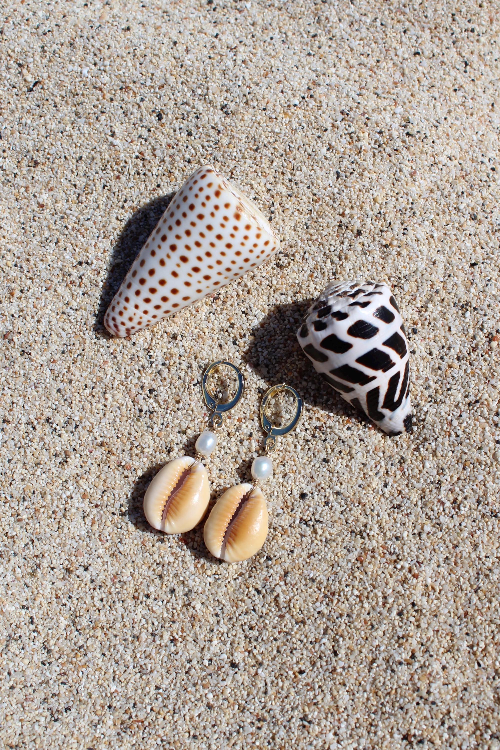 Honey Cowrie Shell Huggies