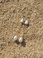 Cone Shell Chain Earrings
