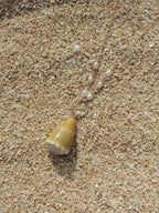 Cone Shell Necklace