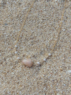 Cone Shell Choker Necklace