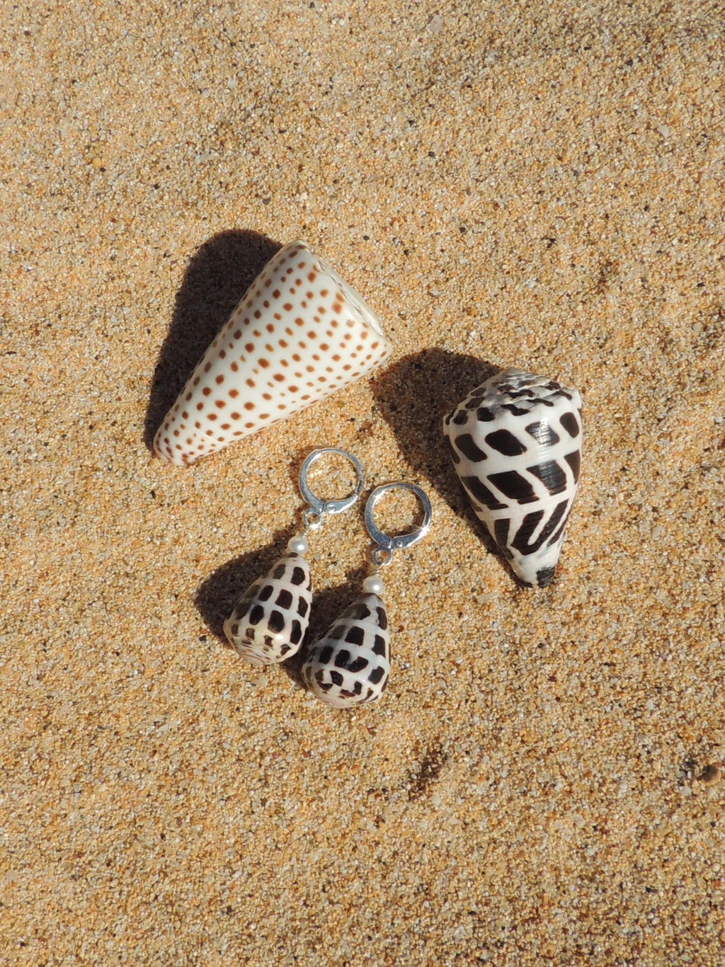 Hebrew Cone Shell Huggies