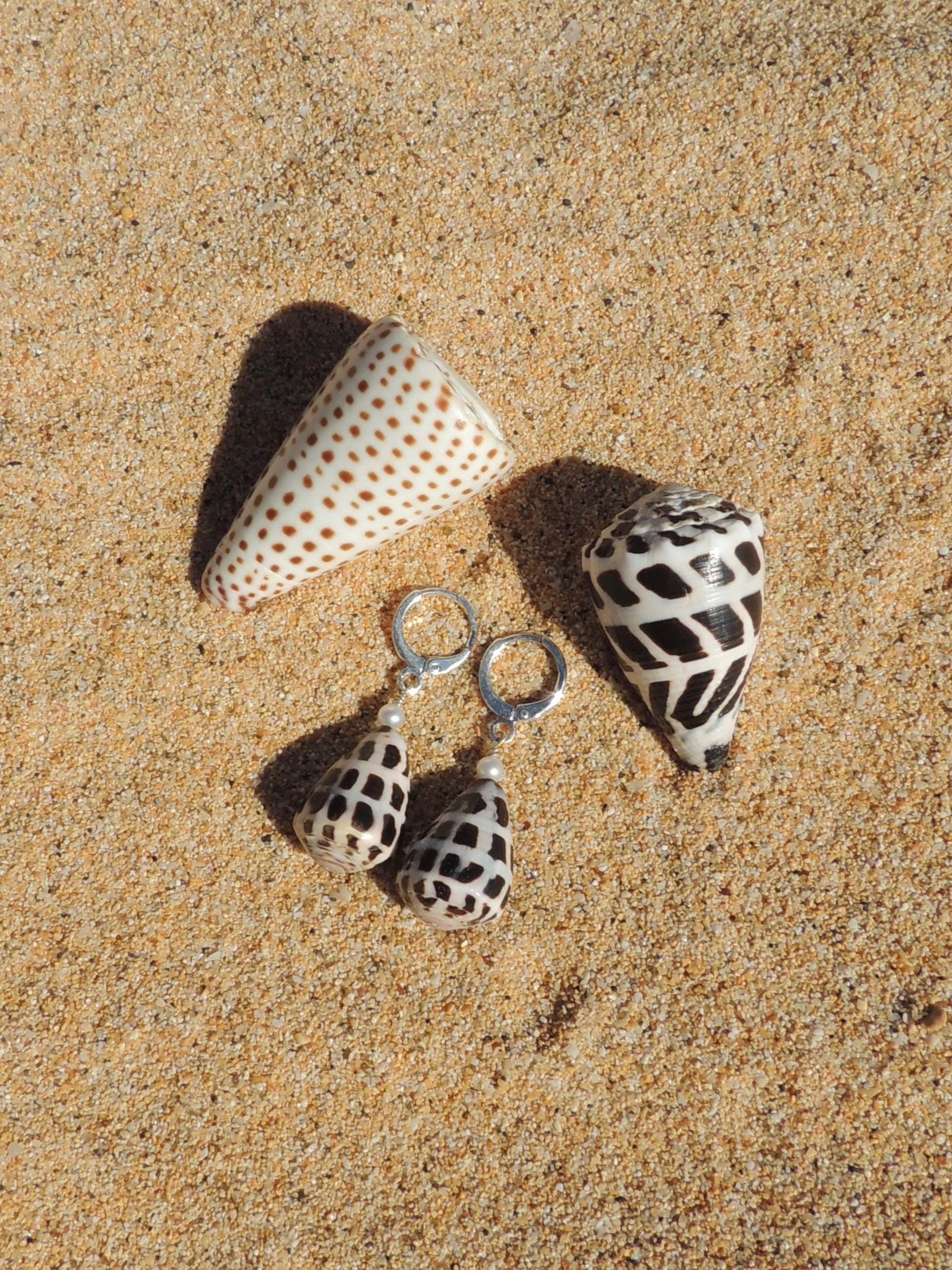 Hebrew Cone Shell Huggies