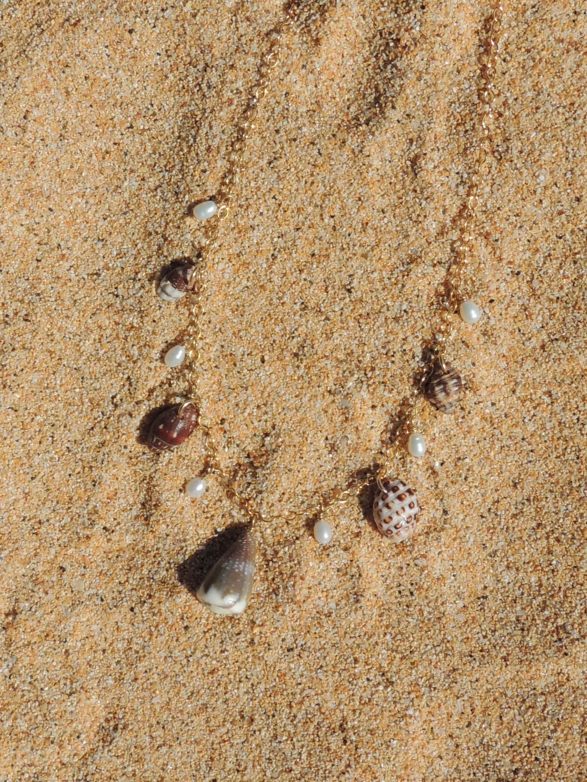 Shell Charm Necklace