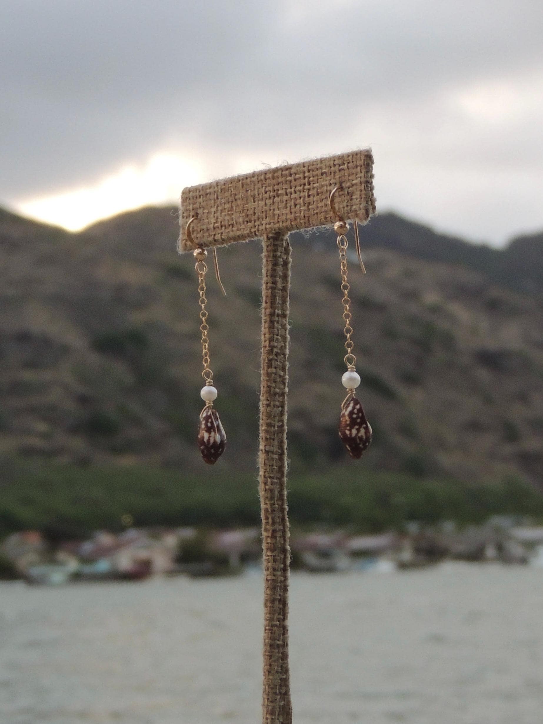 Brown Shell Chain Earrings