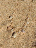 Shell Charm Necklace